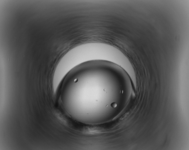 X0000086740268200704201711