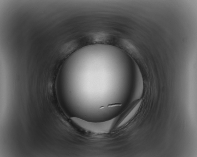 X0000086740269200704201711