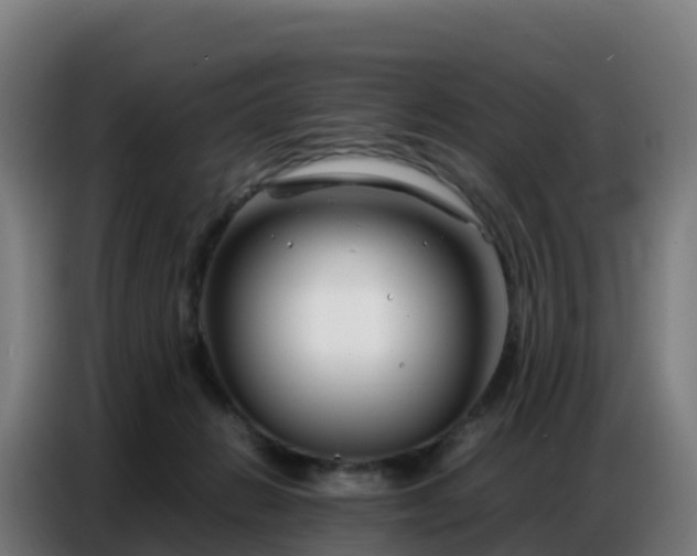 X0000086740270200704201711