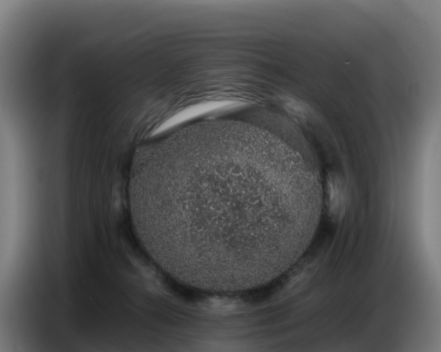 X0000086740272200704201711