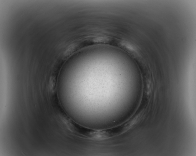 X0000086740273200704201711