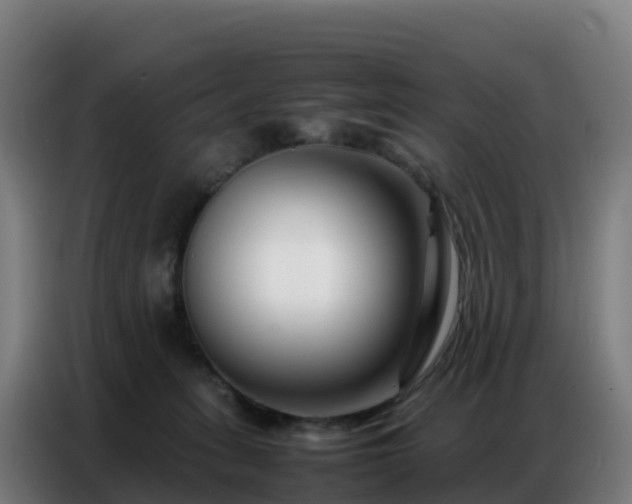 X0000086740275200704201711