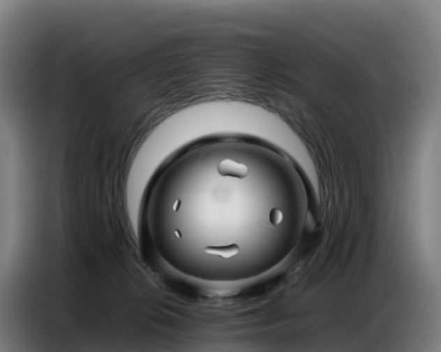 X0000086740276200704201711