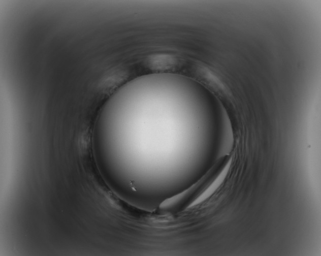 X0000086740277200704201711