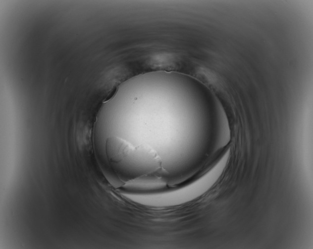 X0000086740281200704201711