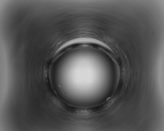 X0000086740282200704201712