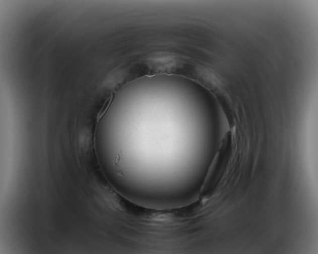 X0000086740283200704201712