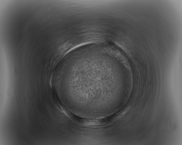 X0000086740288200704201712