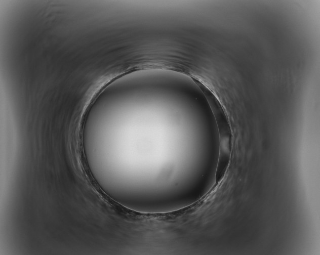 X0000086740289200704201711