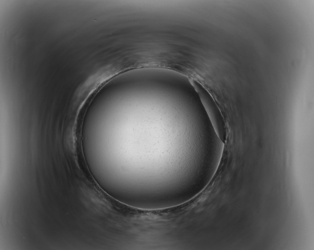 X0000086740290200704201711