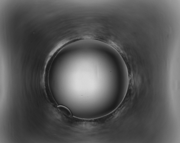 X0000086740292200704201711