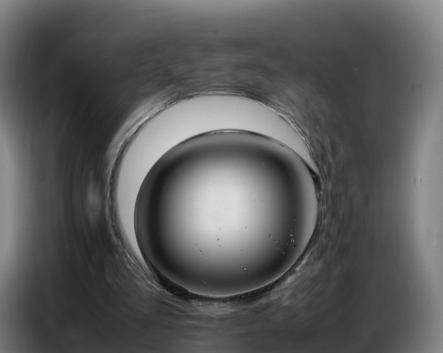 X0000086740293200704201711