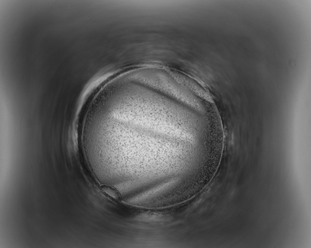 X0000086740294200704201711