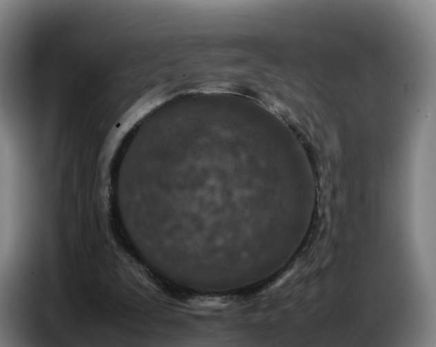 X0000086740295200704201711