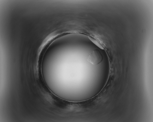 X0000086740296200704201711