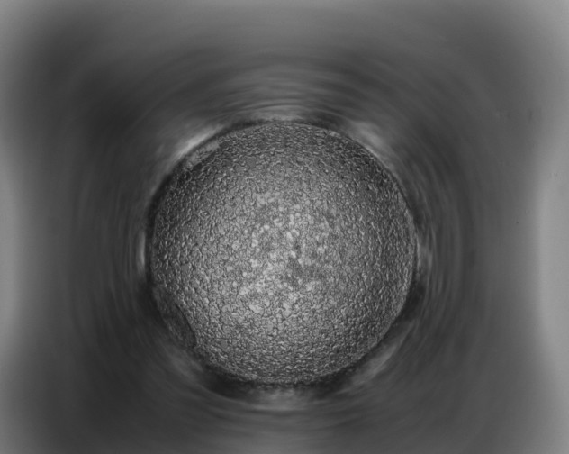 X0000086740301200704201711