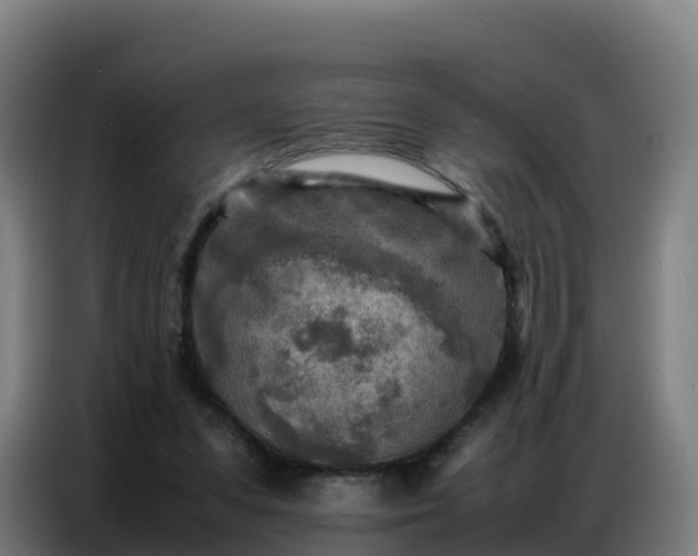 X0000086740303200704201711