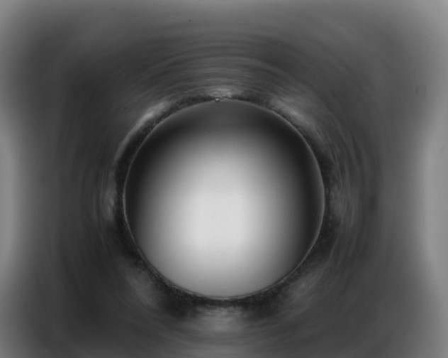 X0000086740304200704201711