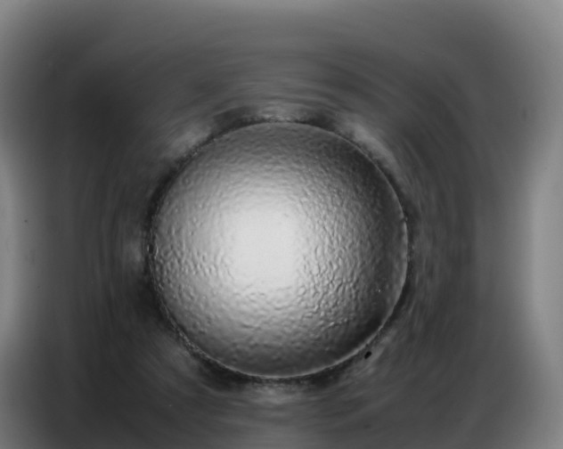 X0000086740305200704201711