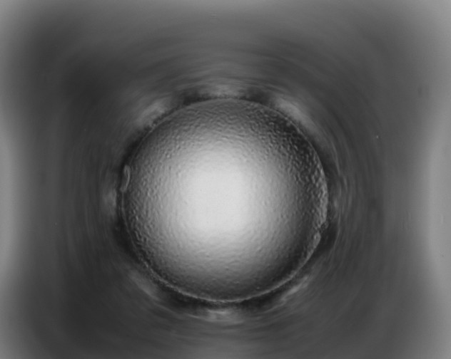 X0000086740309200704201711