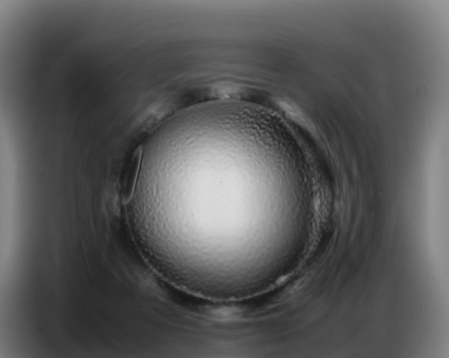 X0000086740313200704201711