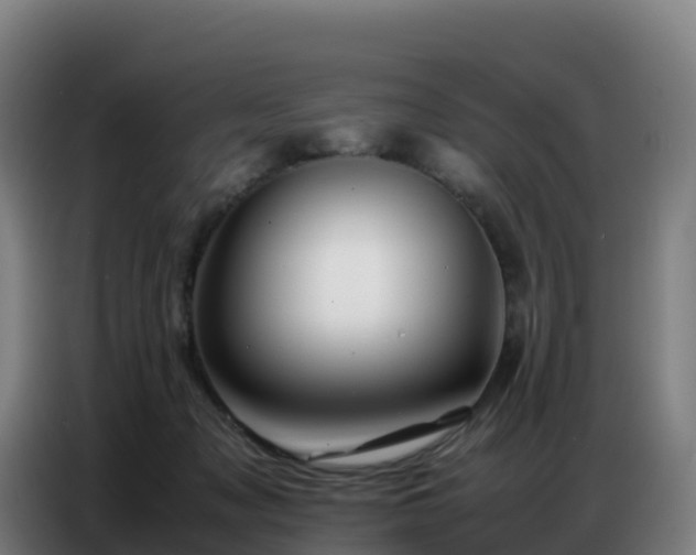 X0000086740317200704201711