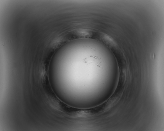 X0000086740320200704201711