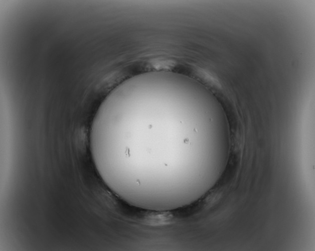 X0000086740321200704201711