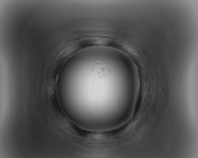 X0000086740325200704201711