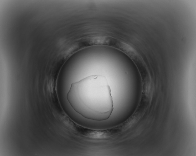 X0000086740326200704201710