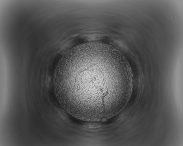 X0000086740327200704201710