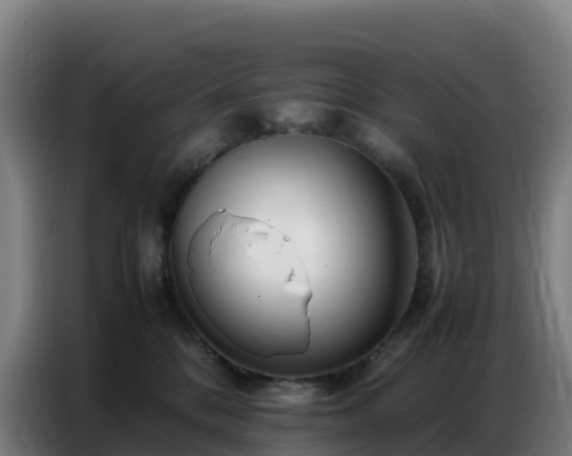 X0000086740328200704201710