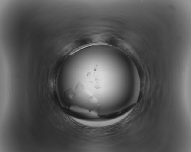 X0000086740329200704201710