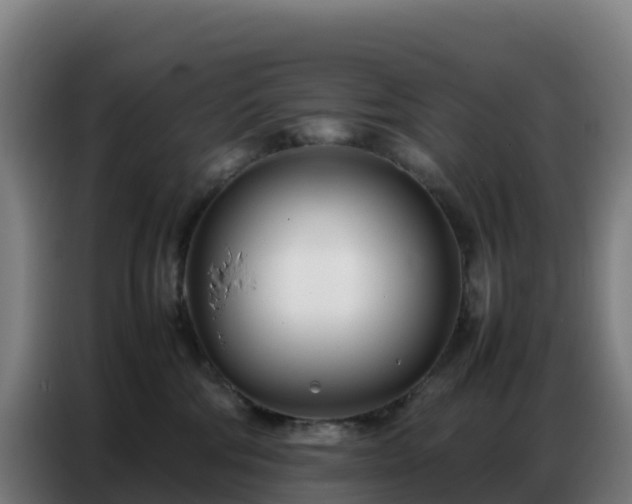 X0000086740330200704201710