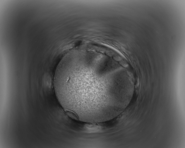 X0000086740331200704201710