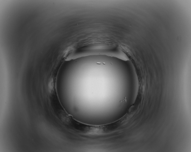 X0000086740335200704201710