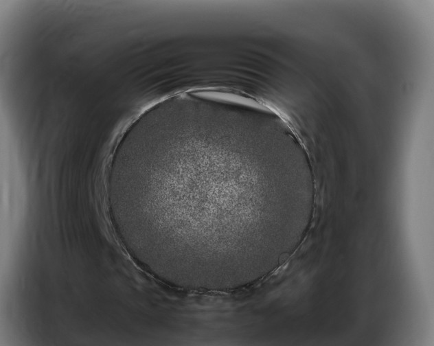 X0000086740337200704201710