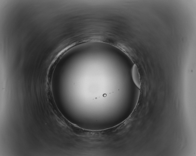 X0000086740338200704201710