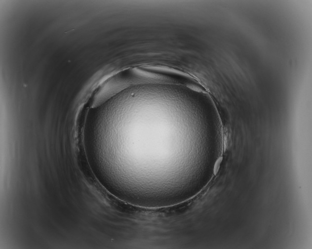 X0000086740339200704201710