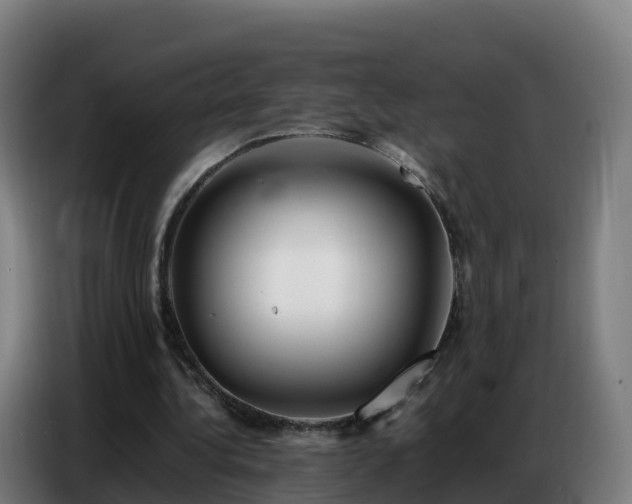 X0000086740340200704201710