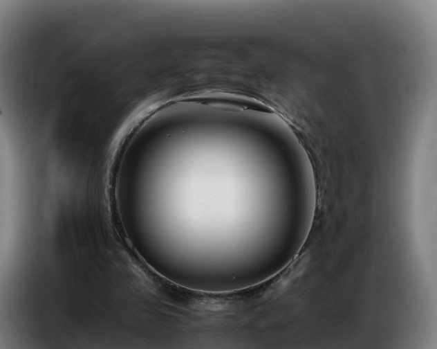 X0000086740341200704201710