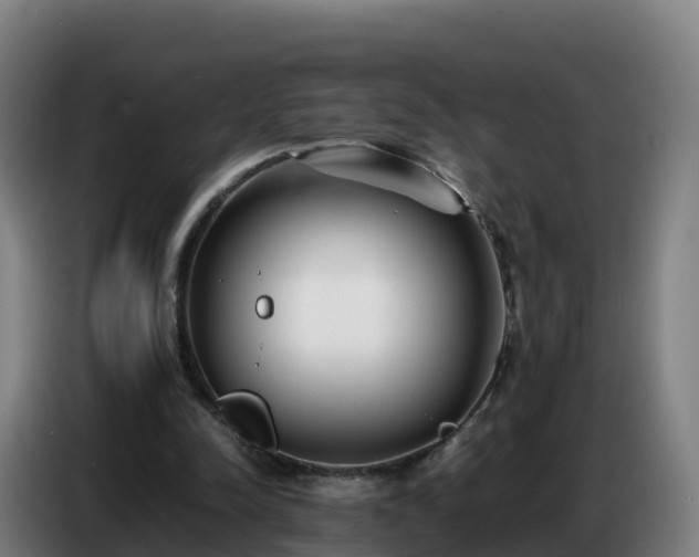 X0000086740342200704201710