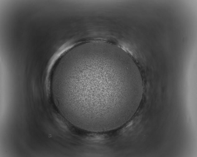 X0000086740343200704201710