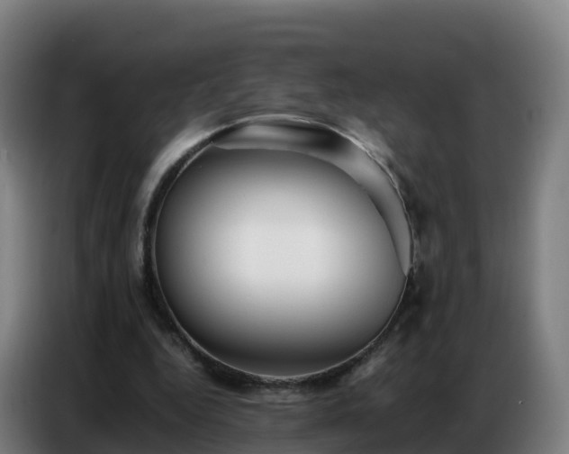 X0000086740344200704201710