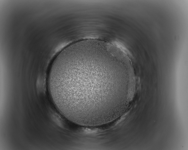 X0000086740346200704201710