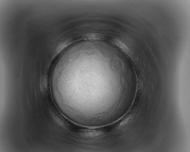 X0000086740347200704201710