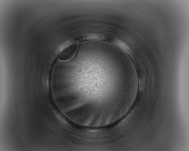 X0000086740349200704201710