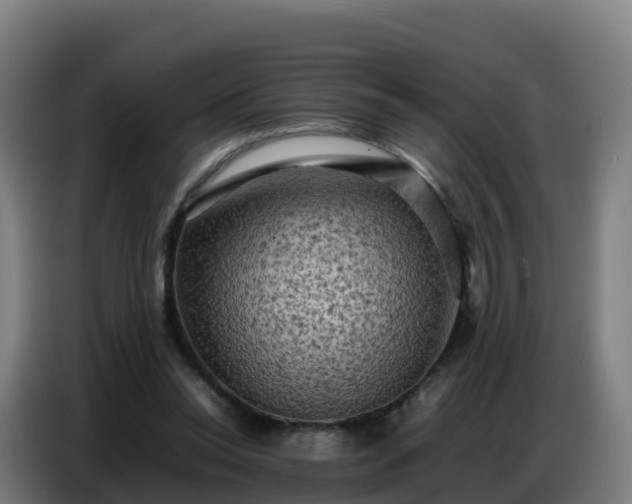 X0000086740350200704201710