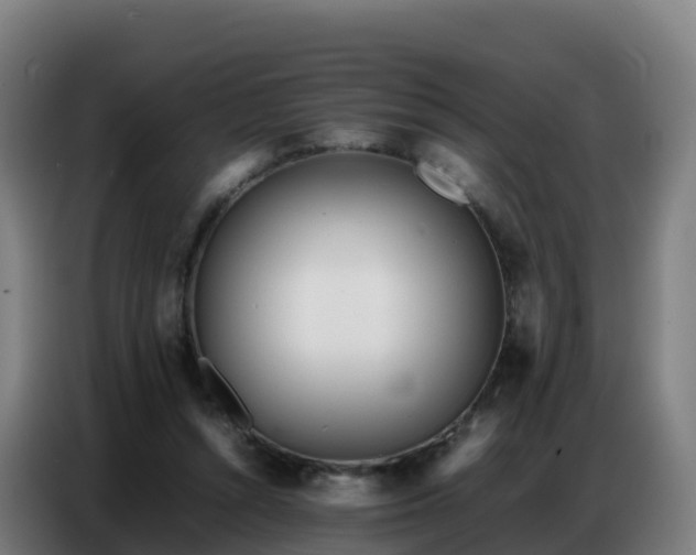 X0000086740352200704201710