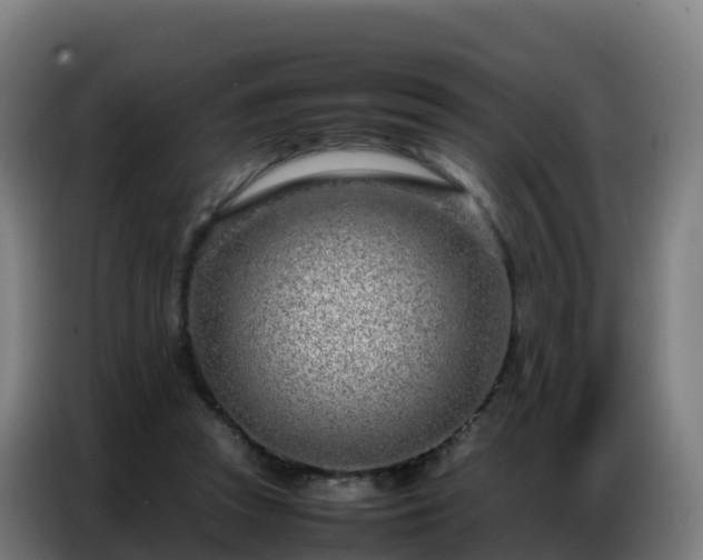 X0000086740353200704201710